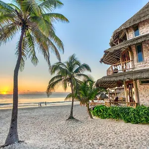 alaya-tulum.tulum-hotels.net/